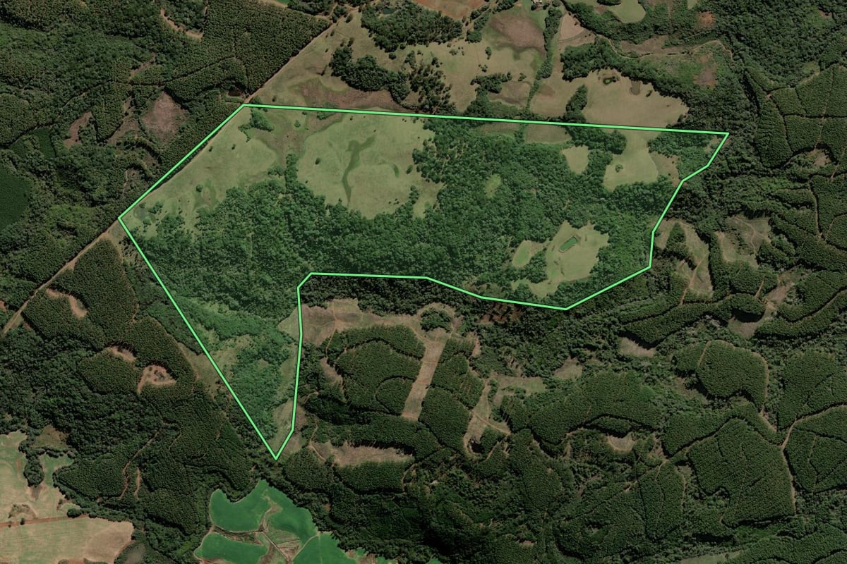 Imagem de satélite do imóvel rural em Caçador (SC), com o contorno declarado no CAR desenhado por cima.