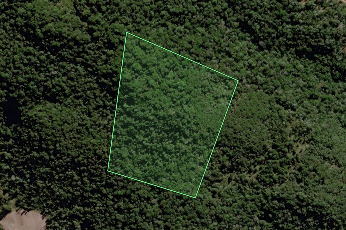 Imagem de satélite do imóvel rural em Caçador (SC), com o contorno declarado no CAR desenhado por cima.