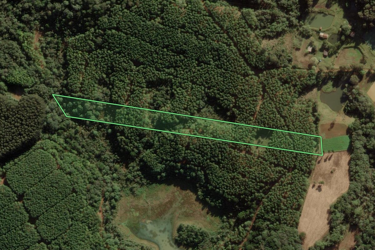 Imagem de satélite do imóvel rural em Caçador (SC), com o contorno declarado no CAR desenhado por cima.