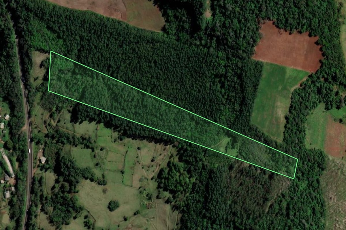 Imagem de satélite do imóvel rural em Caibi (SC), com o contorno declarado no CAR desenhado por cima.