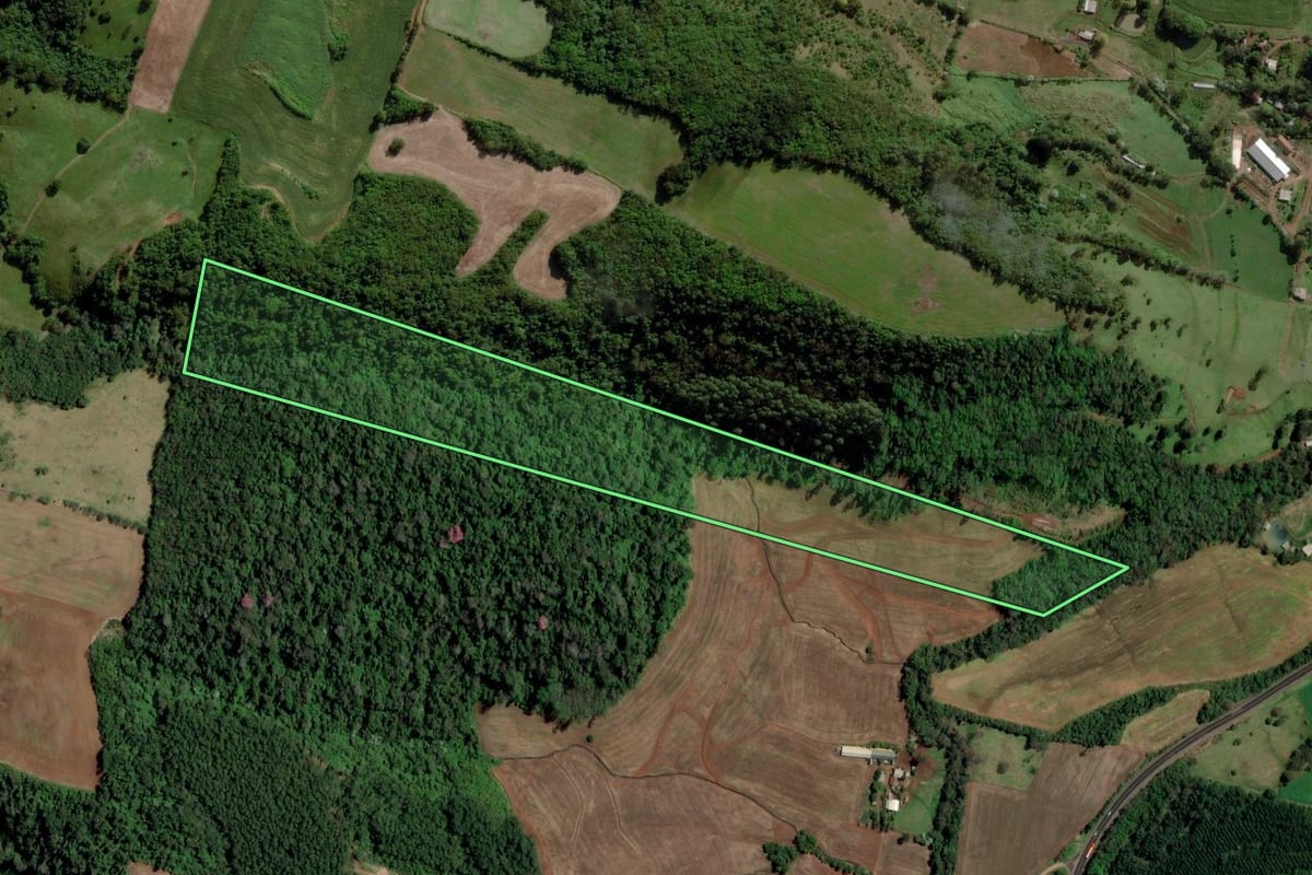 Imagem de satélite do imóvel rural em Caibi (SC), com o contorno declarado no CAR desenhado por cima.
