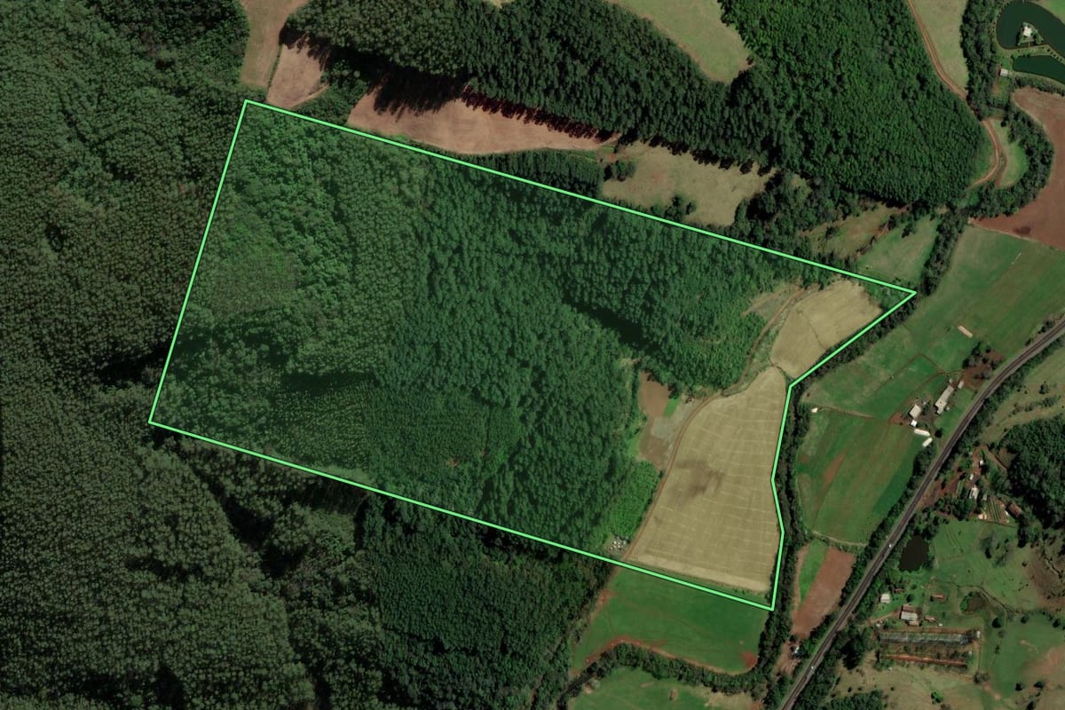 Imagem de satélite do imóvel rural em Caibi (SC), com o contorno declarado no CAR desenhado por cima.