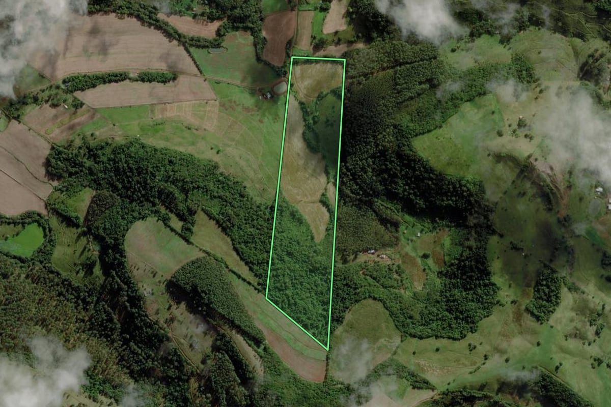 Imagem de satélite do imóvel rural em Caibi (SC), com o contorno declarado no CAR desenhado por cima.