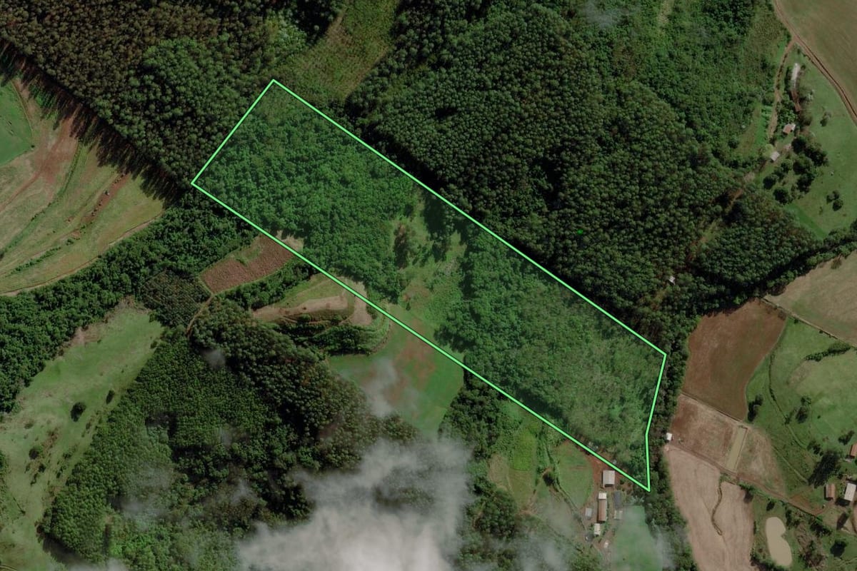 Imagem de satélite do imóvel rural em Caibi (SC), com o contorno declarado no CAR desenhado por cima.