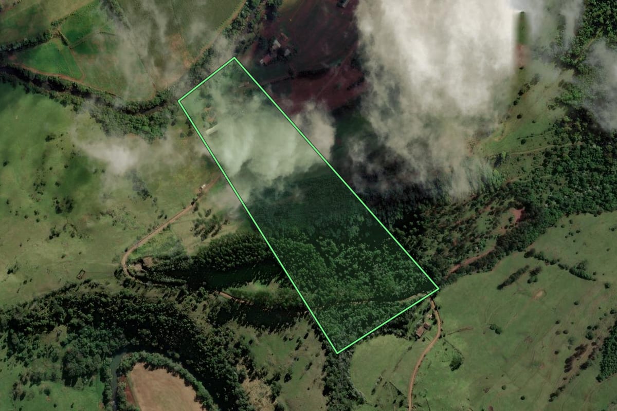 Imagem de satélite do imóvel rural em Caibi (SC), com o contorno declarado no CAR desenhado por cima.