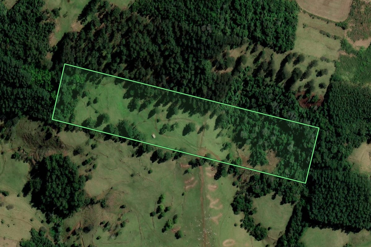 Imagem de satélite do imóvel rural em Caibi (SC), com o contorno declarado no CAR desenhado por cima.