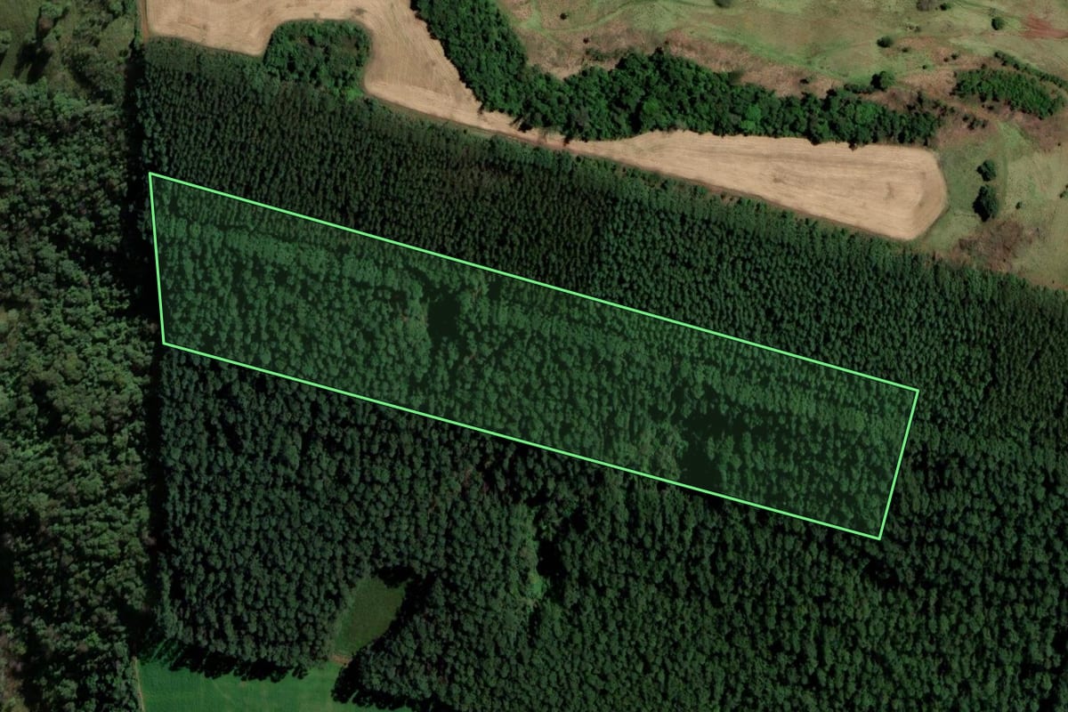 Imagem de satélite do imóvel rural em Caibi (SC), com o contorno declarado no CAR desenhado por cima.