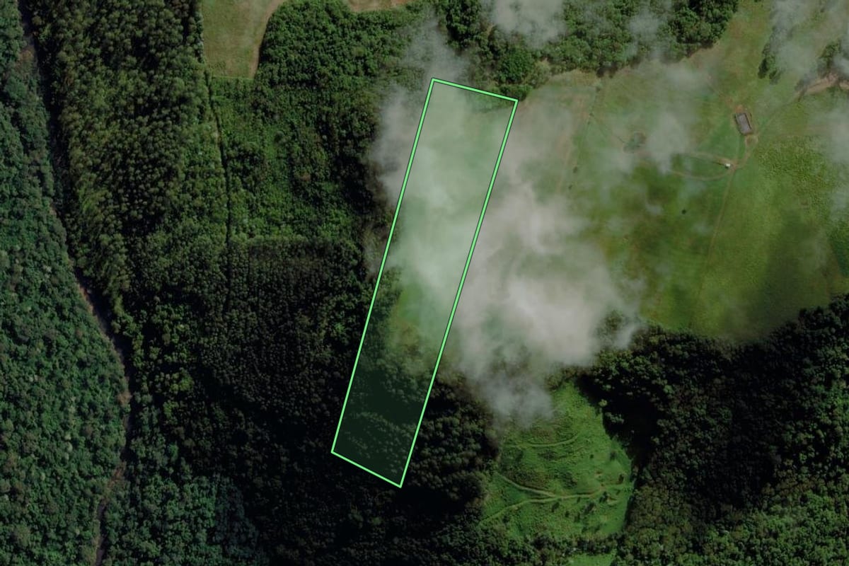 Imagem de satélite do imóvel rural em Caibi (SC), com o contorno declarado no CAR desenhado por cima.