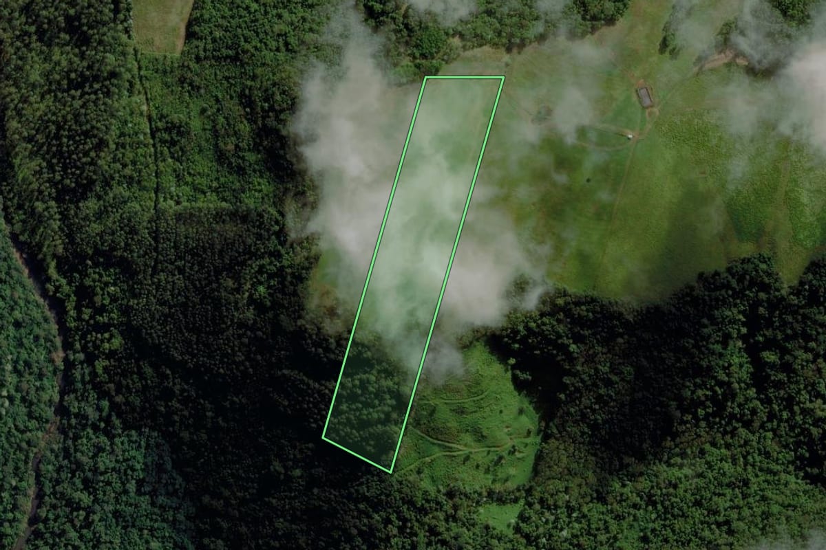 Imagem de satélite do imóvel rural em Caibi (SC), com o contorno declarado no CAR desenhado por cima.