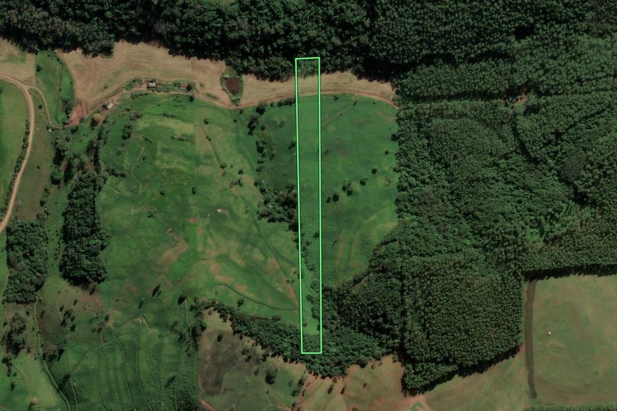 Imagem de satélite do imóvel rural em Caibi (SC), com o contorno declarado no CAR desenhado por cima.