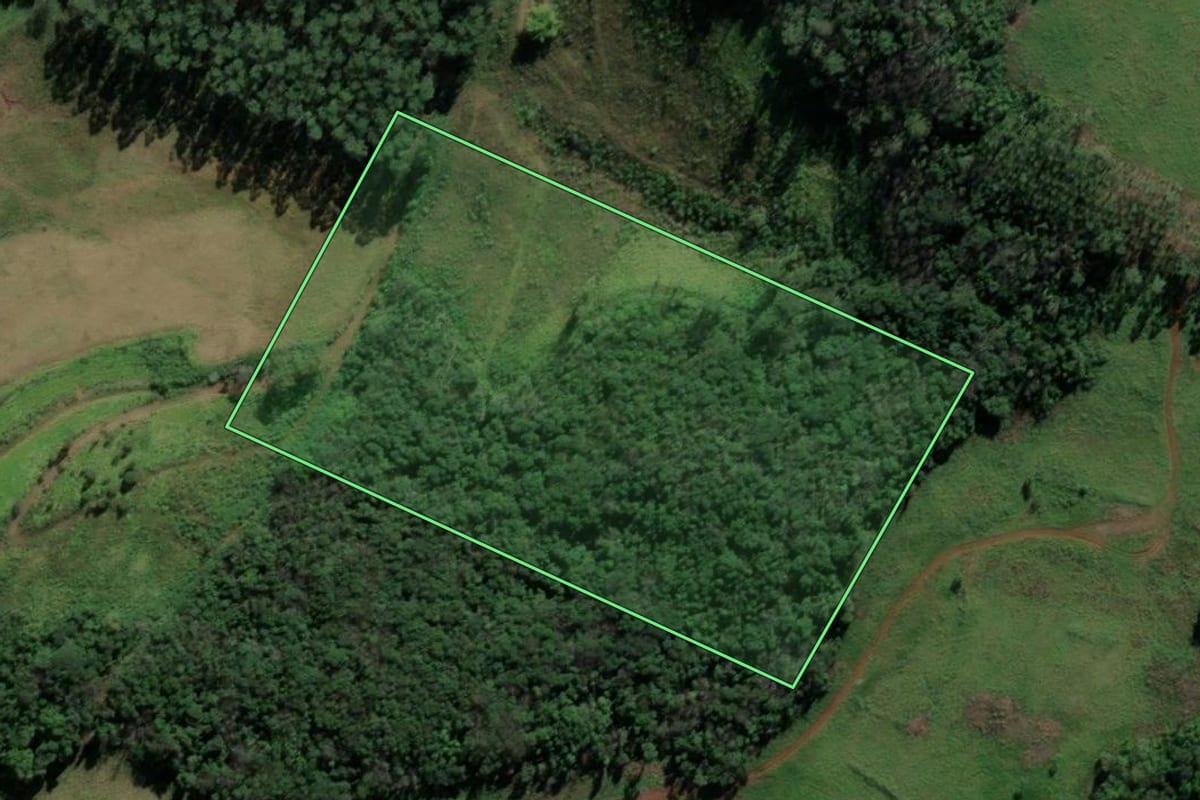 Imagem de satélite do imóvel rural em Caibi (SC), com o contorno declarado no CAR desenhado por cima.