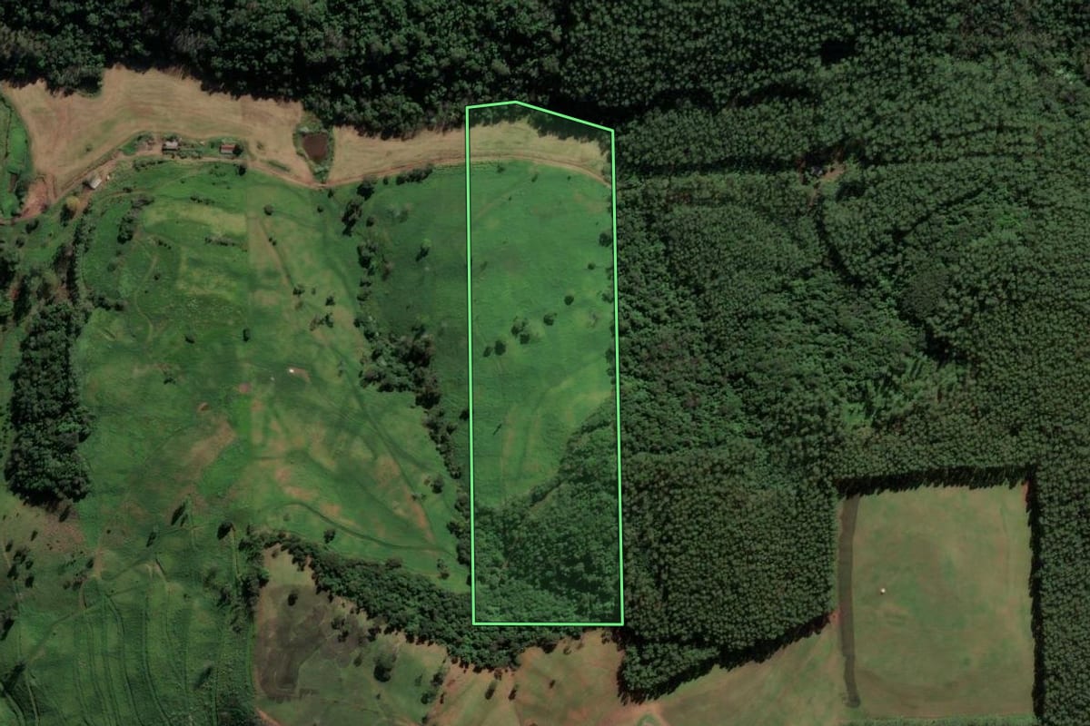 Imagem de satélite do imóvel rural em Caibi (SC), com o contorno declarado no CAR desenhado por cima.