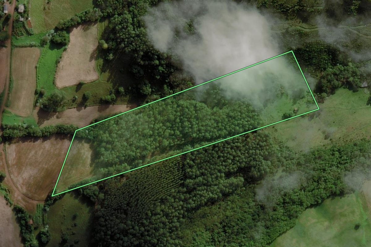 Imagem de satélite do imóvel rural em Caibi (SC), com o contorno declarado no CAR desenhado por cima.