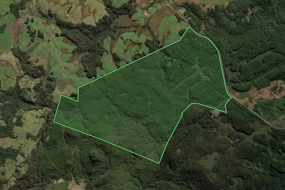 Imagem de satélite do imóvel rural em Calmon (SC), com o contorno declarado no CAR desenhado por cima.