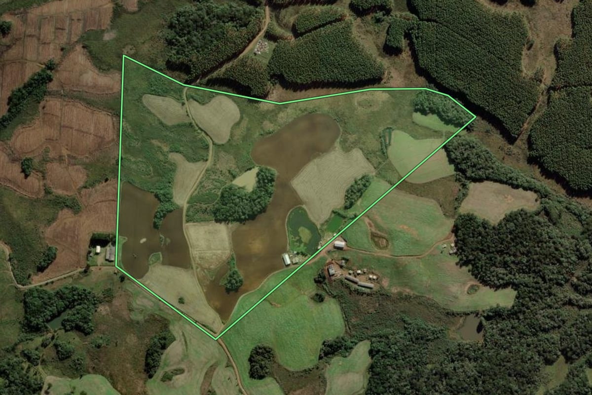 Imagem de satélite do imóvel rural em Calmon (SC), com o contorno declarado no CAR desenhado por cima.