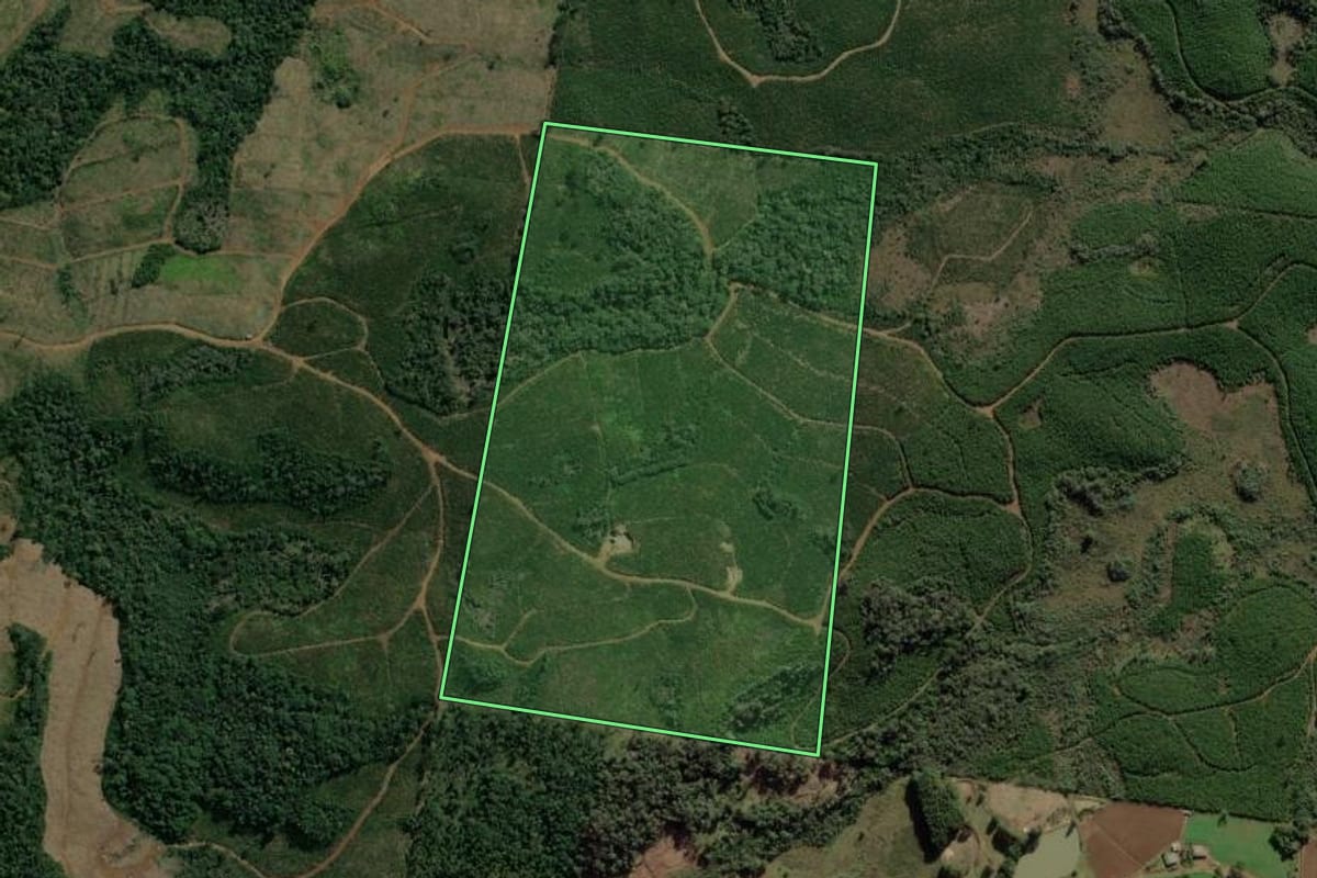 Imagem de satélite do imóvel rural em Calmon (SC), com o contorno declarado no CAR desenhado por cima.