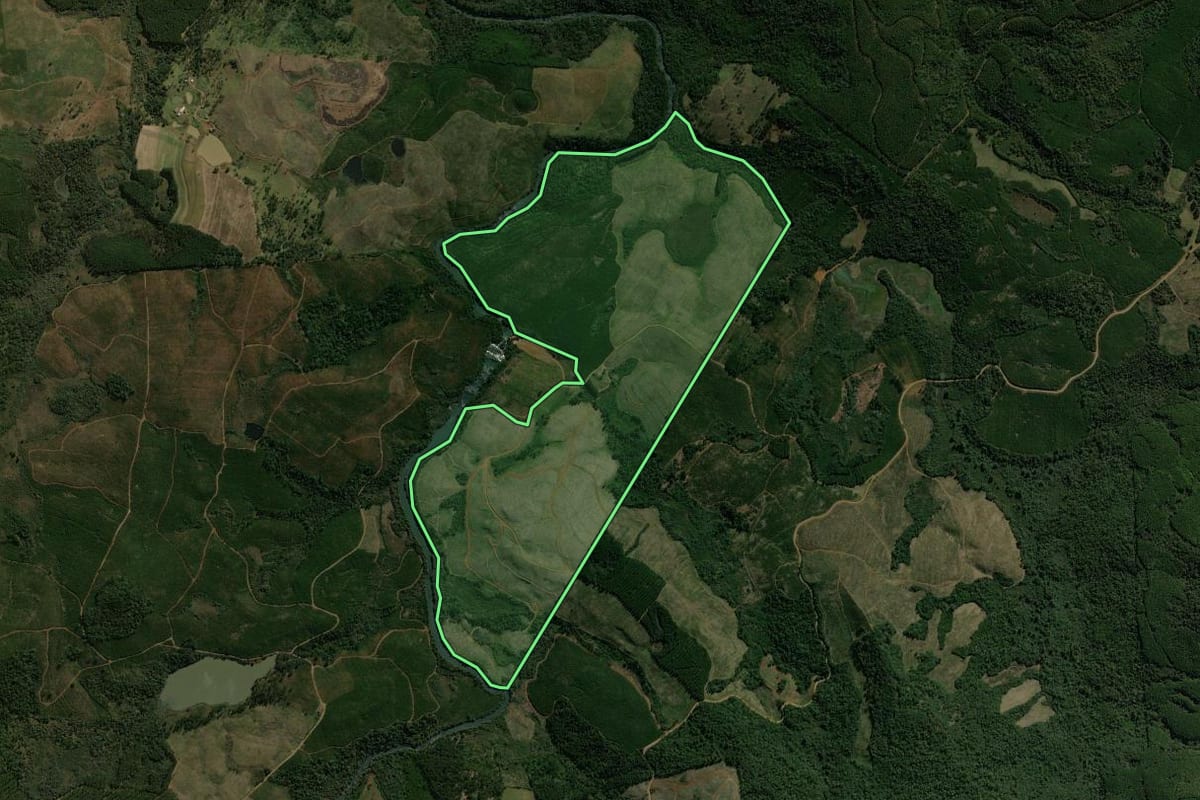 Imagem de satélite do imóvel rural em Calmon (SC), com o contorno declarado no CAR desenhado por cima.