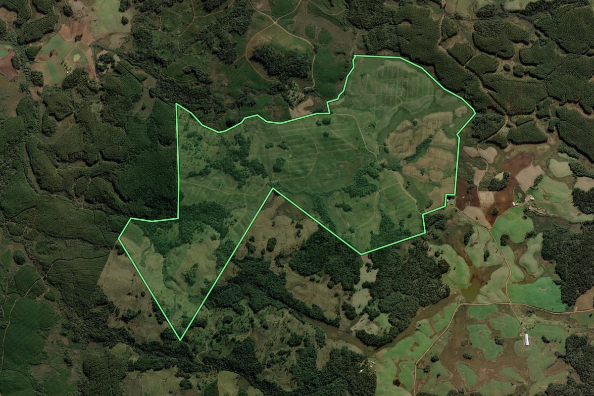 Imagem de satélite do imóvel rural em Calmon (SC), com o contorno declarado no CAR desenhado por cima.