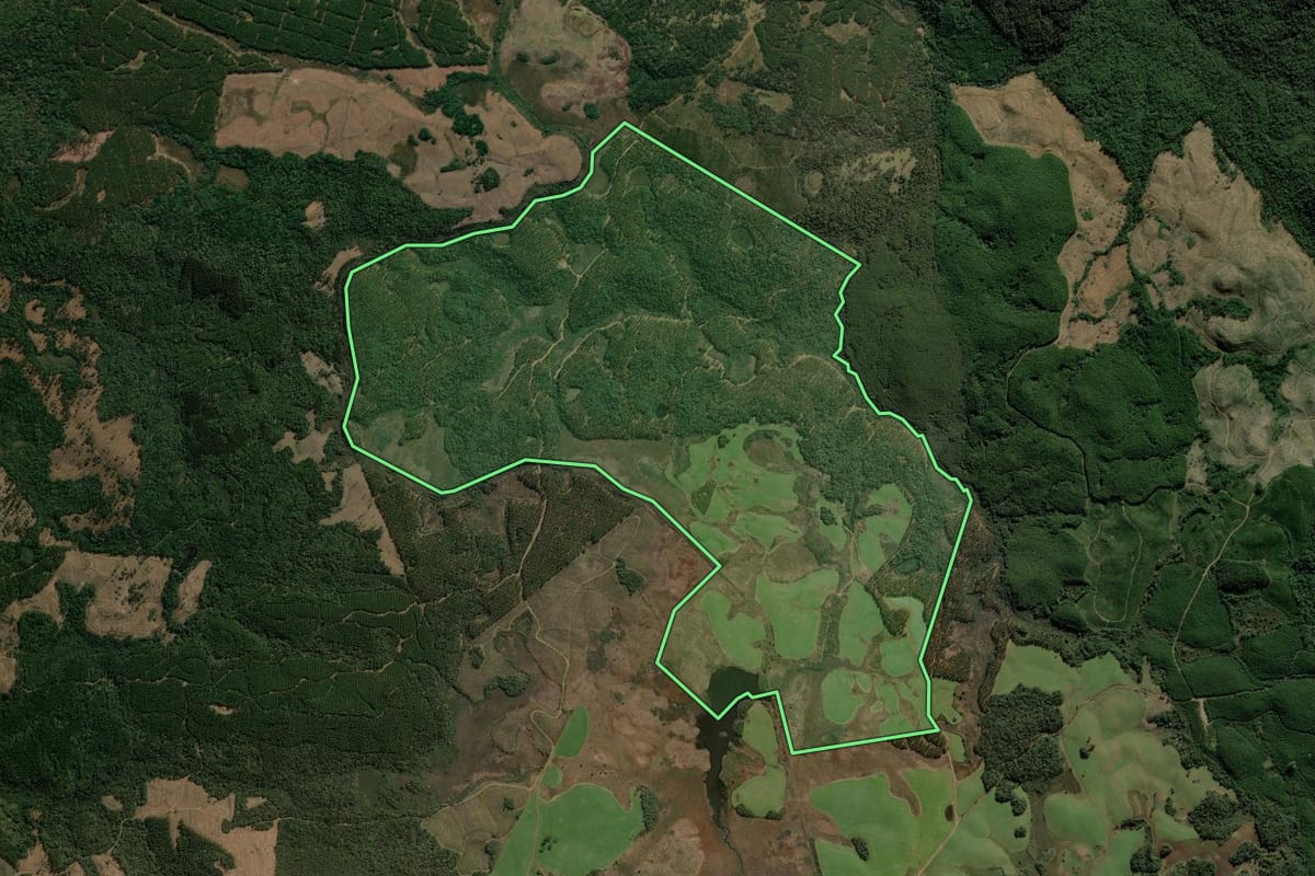 Imagem de satélite do imóvel rural em Calmon (SC), com o contorno declarado no CAR desenhado por cima.