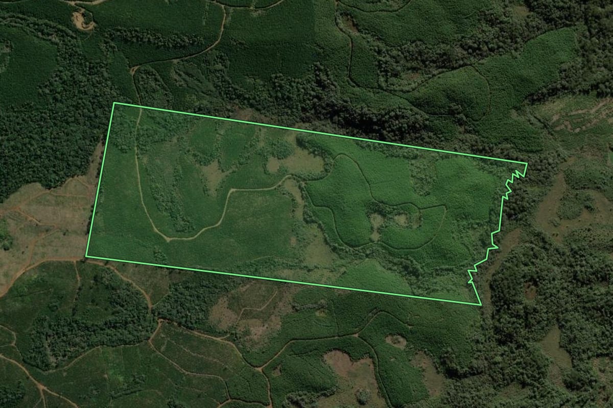 Imagem de satélite do imóvel rural em Calmon (SC), com o contorno declarado no CAR desenhado por cima.