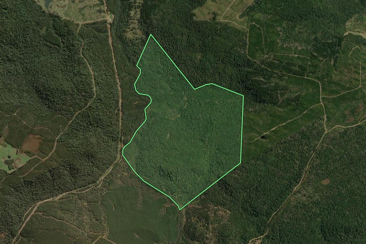 Imagem de satélite do imóvel rural em Calmon (SC), com o contorno declarado no CAR desenhado por cima.