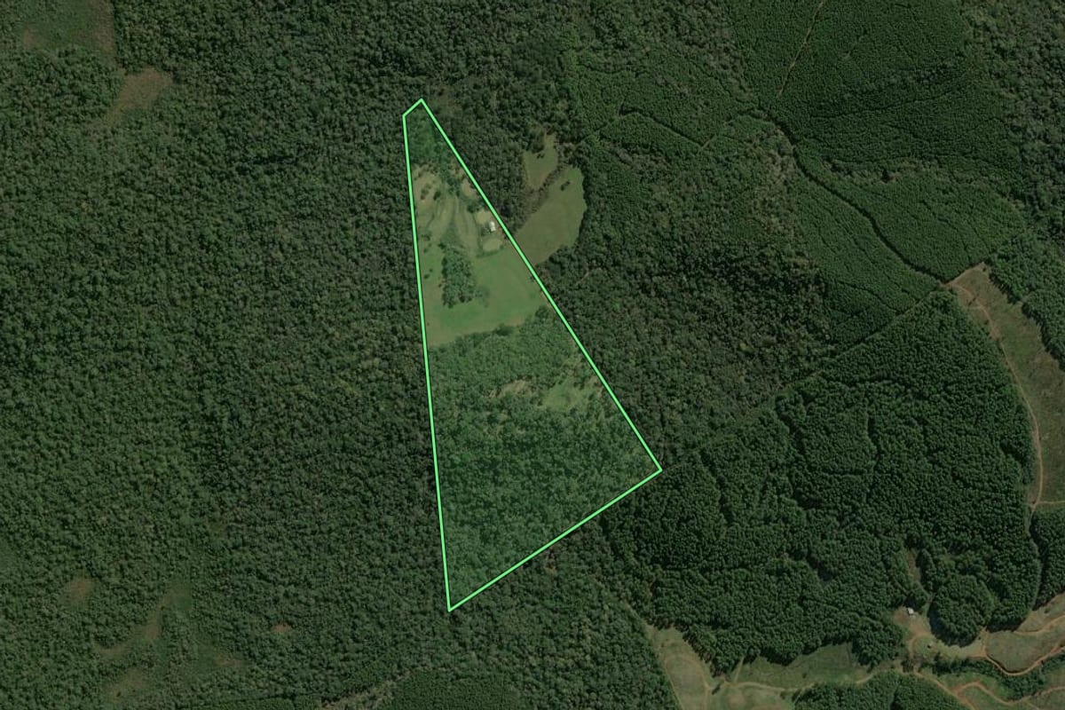 Imagem de satélite do imóvel rural em Calmon (SC), com o contorno declarado no CAR desenhado por cima.