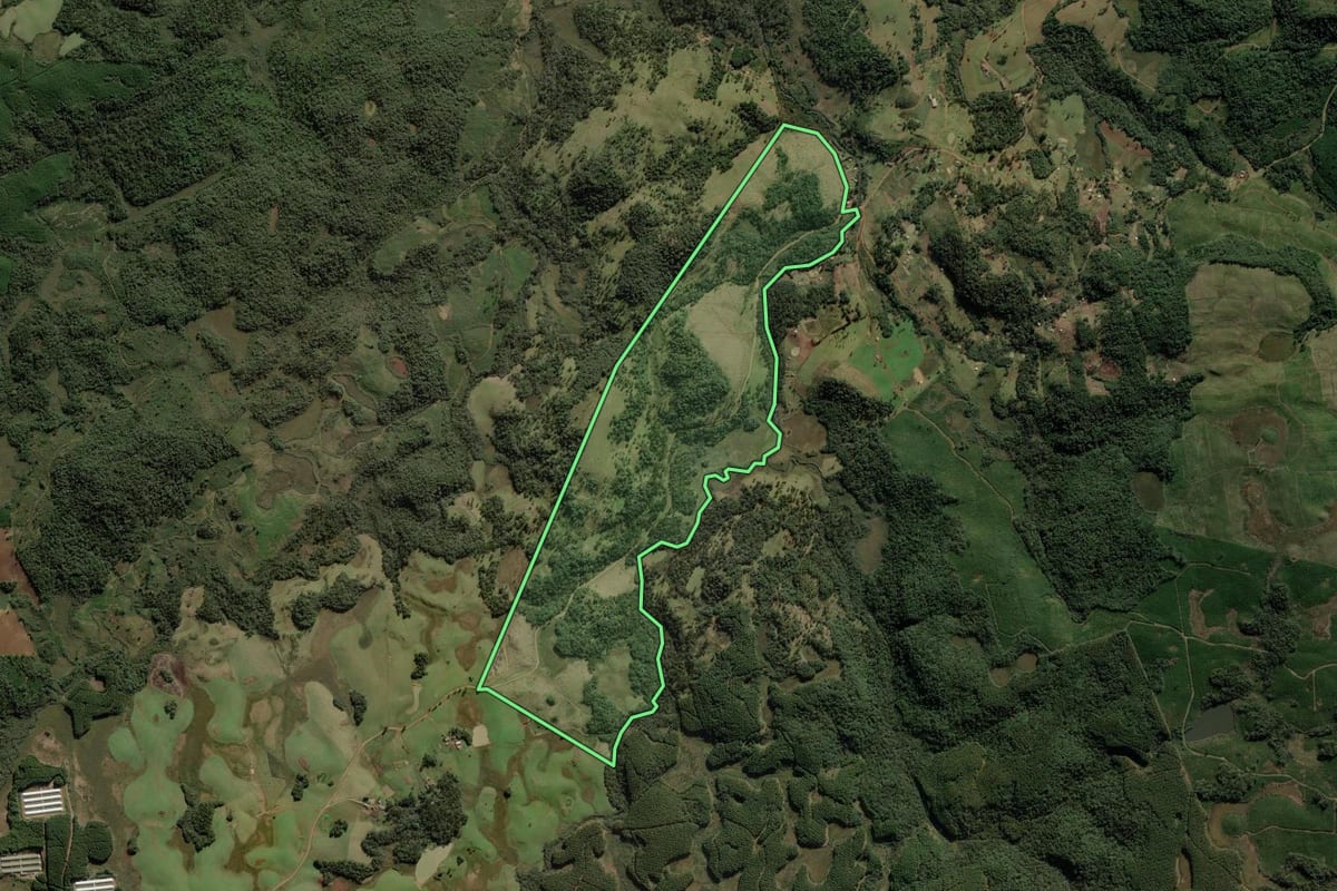 Imagem de satélite do imóvel rural em Calmon (SC), com o contorno declarado no CAR desenhado por cima.