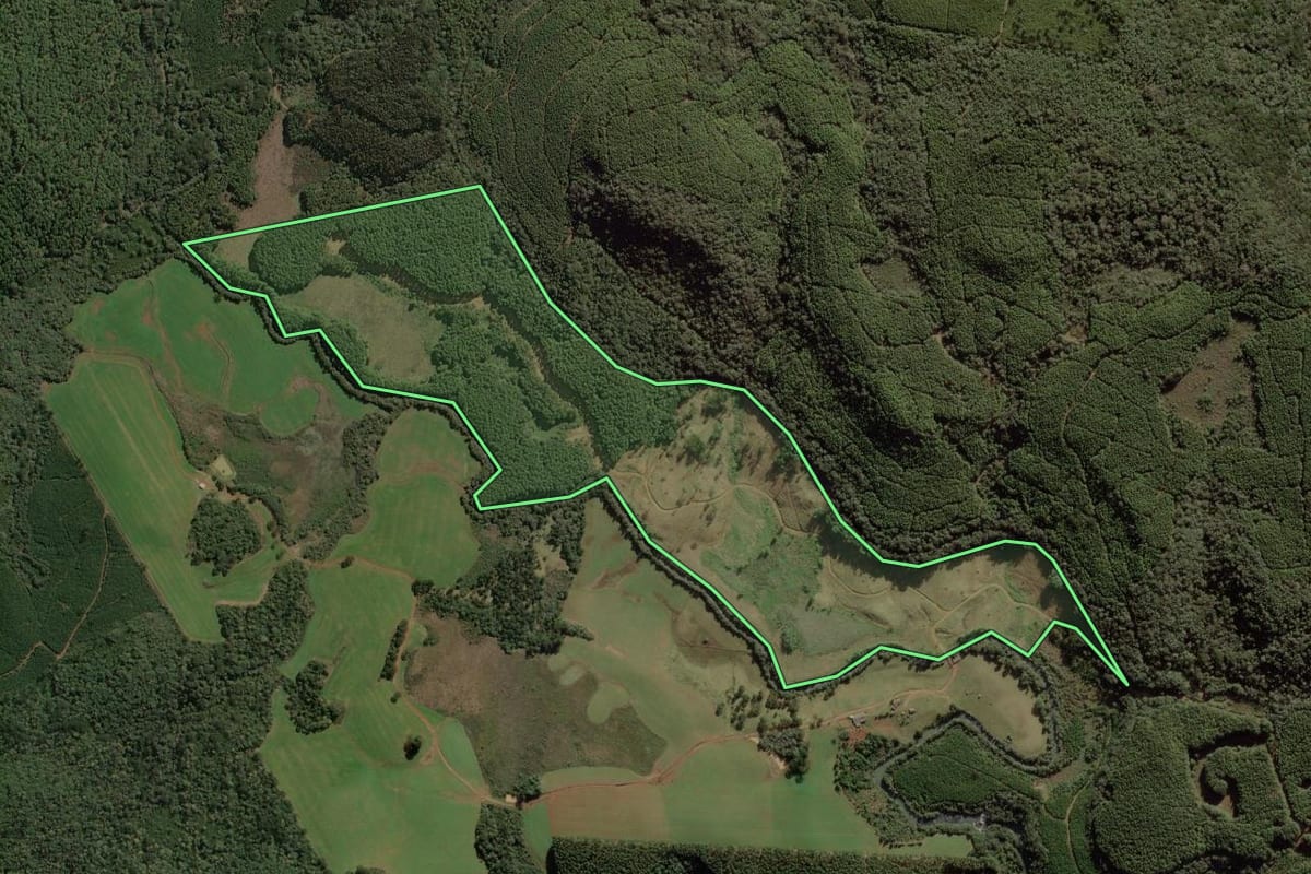 Imagem de satélite do imóvel rural em Calmon (SC), com o contorno declarado no CAR desenhado por cima.