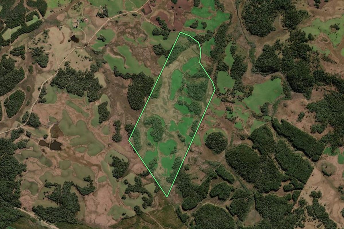 Imagem de satélite do imóvel rural em Calmon (SC), com o contorno declarado no CAR desenhado por cima.