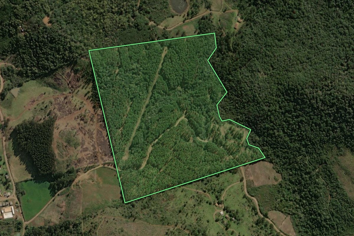 Imagem de satélite do imóvel rural em Calmon (SC), com o contorno declarado no CAR desenhado por cima.