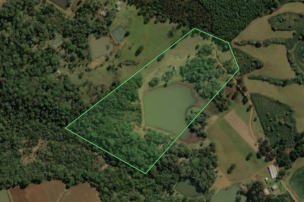 Imagem de satélite do imóvel rural em Calmon (SC), com o contorno declarado no CAR desenhado por cima.