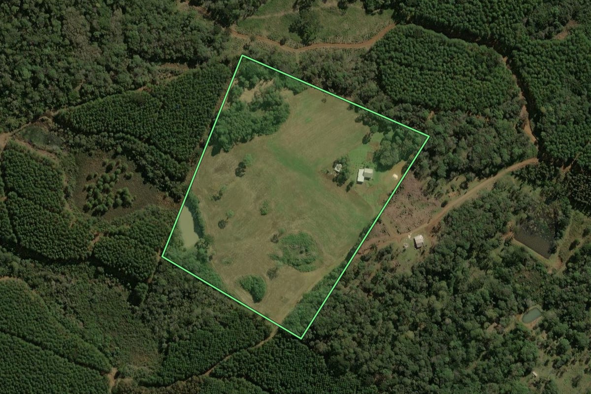 Imagem de satélite do imóvel rural em Calmon (SC), com o contorno declarado no CAR desenhado por cima.
