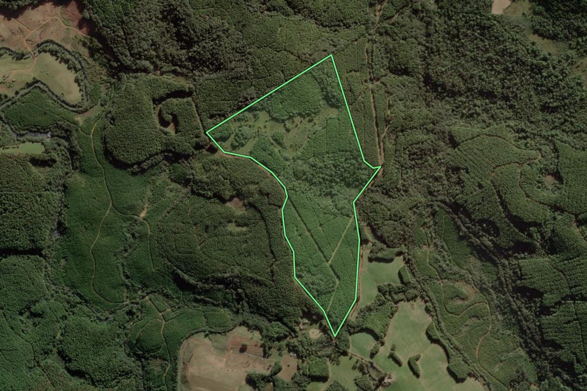 Imagem de satélite do imóvel rural em Calmon (SC), com o contorno declarado no CAR desenhado por cima.