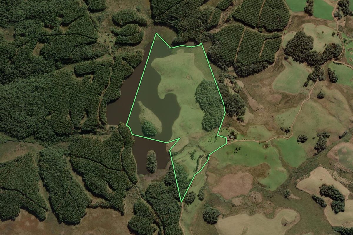 Imagem de satélite do imóvel rural em Calmon (SC), com o contorno declarado no CAR desenhado por cima.
