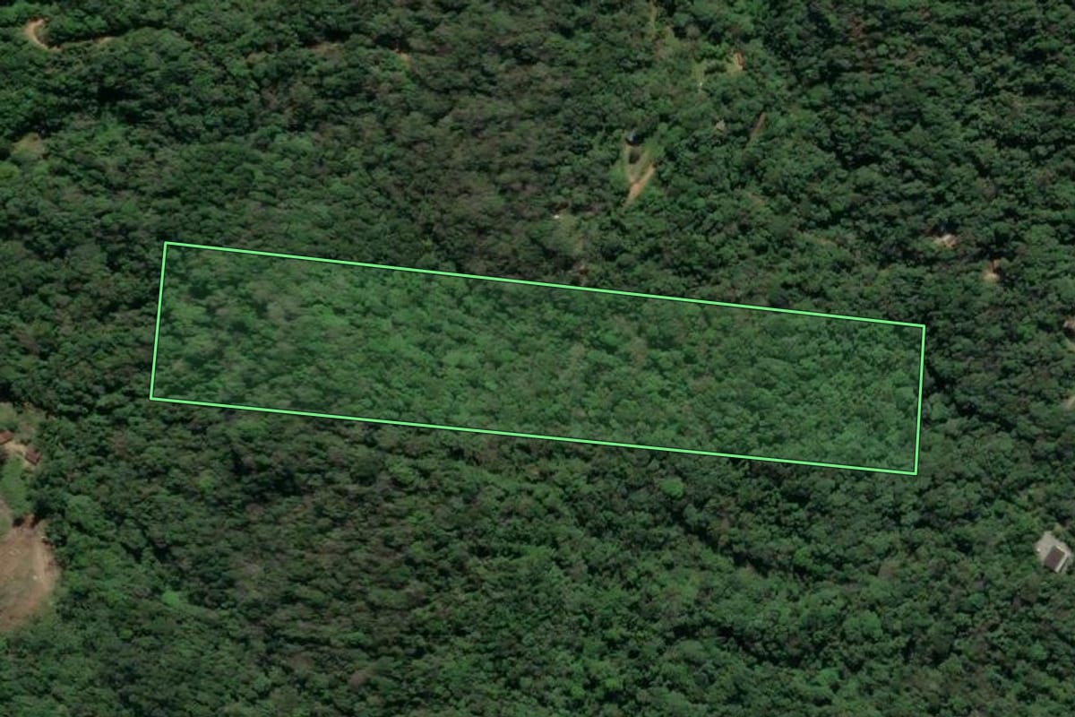 Imagem de satélite do imóvel rural em Camboriú (SC), com o contorno declarado no CAR desenhado por cima.