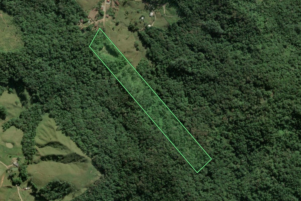 Imagem de satélite do imóvel rural em Camboriú (SC), com o contorno declarado no CAR desenhado por cima.