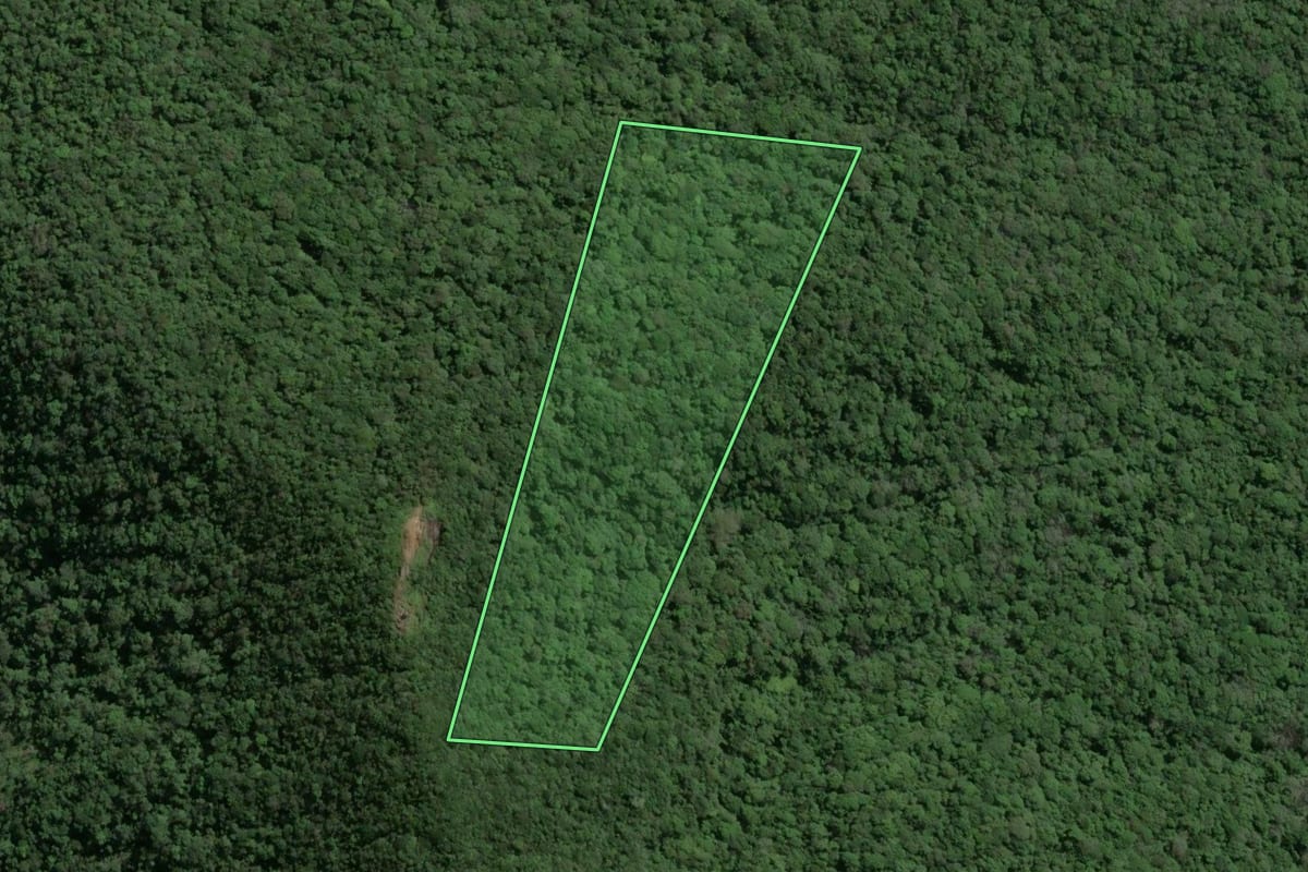 Imagem de satélite do imóvel rural em Camboriú (SC), com o contorno declarado no CAR desenhado por cima.
