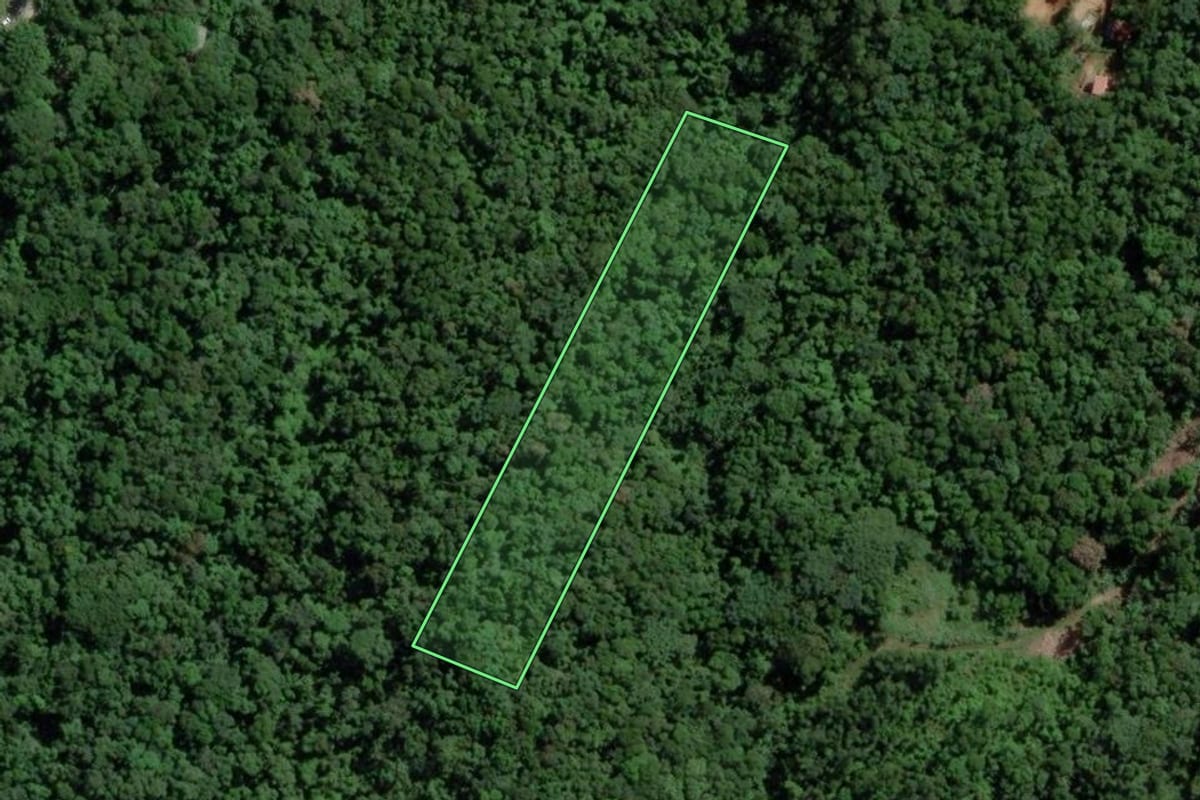Imagem de satélite do imóvel rural em Camboriú (SC), com o contorno declarado no CAR desenhado por cima.