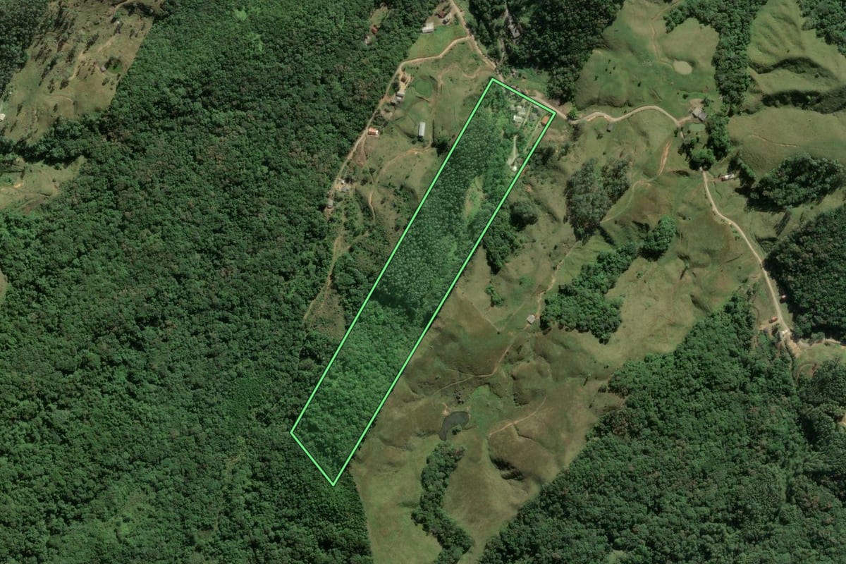 Imagem de satélite do imóvel rural em Camboriú (SC), com o contorno declarado no CAR desenhado por cima.