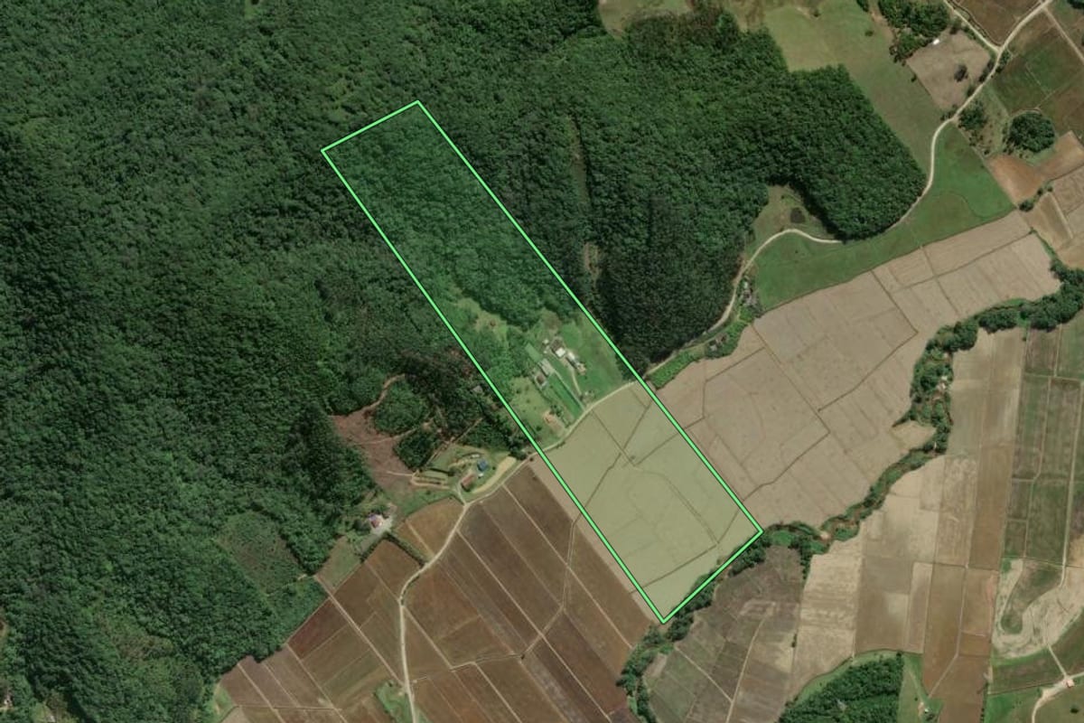 Imagem de satélite do imóvel rural em Camboriú (SC), com o contorno declarado no CAR desenhado por cima.