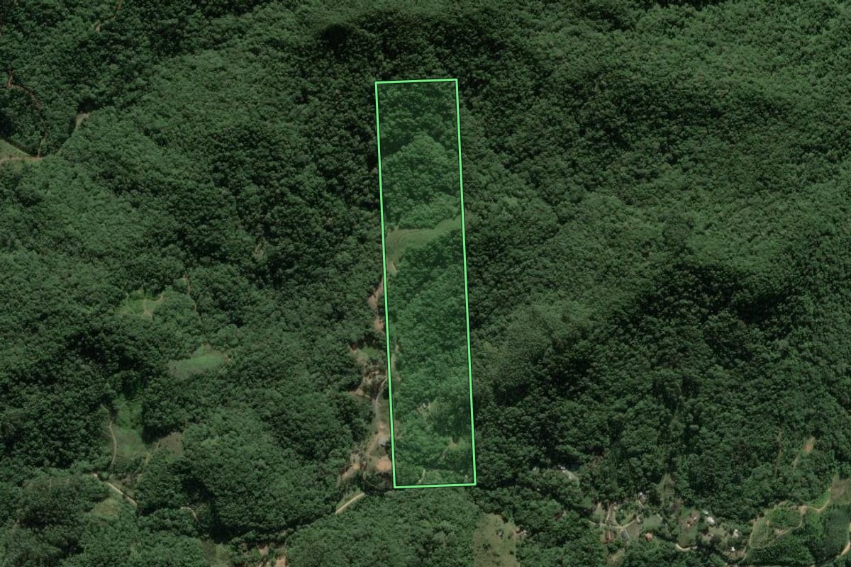 Imagem de satélite do imóvel rural em Camboriú (SC), com o contorno declarado no CAR desenhado por cima.
