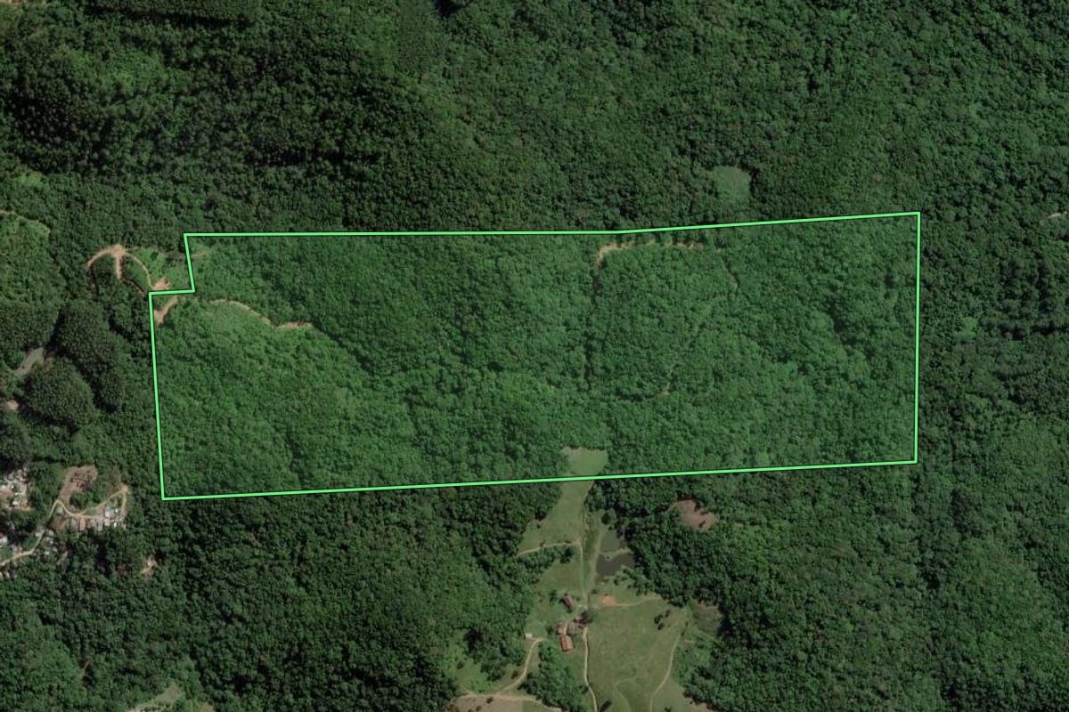 Imagem de satélite do imóvel rural em Camboriú (SC), com o contorno declarado no CAR desenhado por cima.