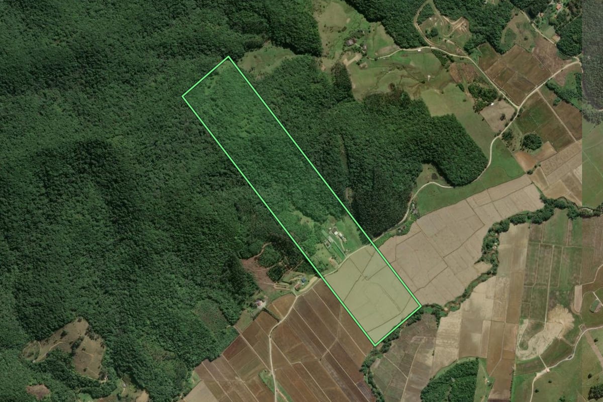 Imagem de satélite do imóvel rural em Camboriú (SC), com o contorno declarado no CAR desenhado por cima.