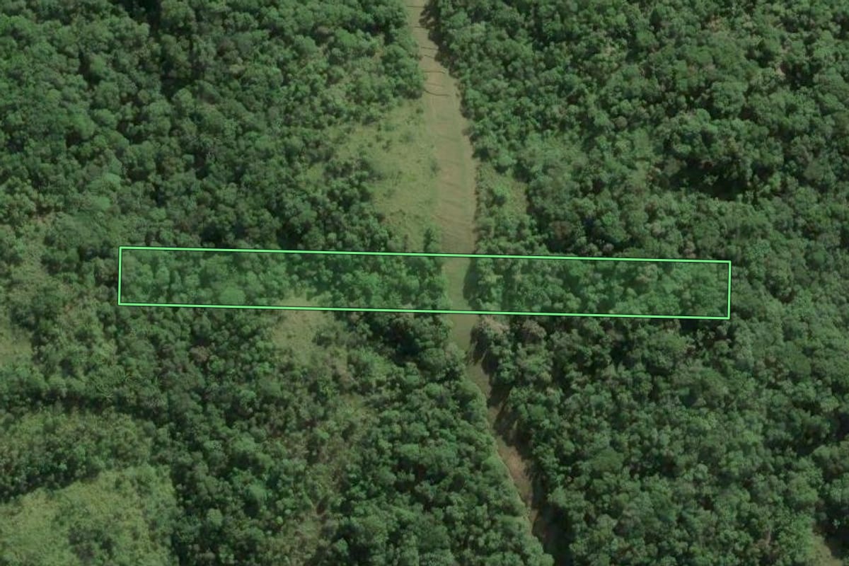 Imagem de satélite do imóvel rural em Camboriú (SC), com o contorno declarado no CAR desenhado por cima.