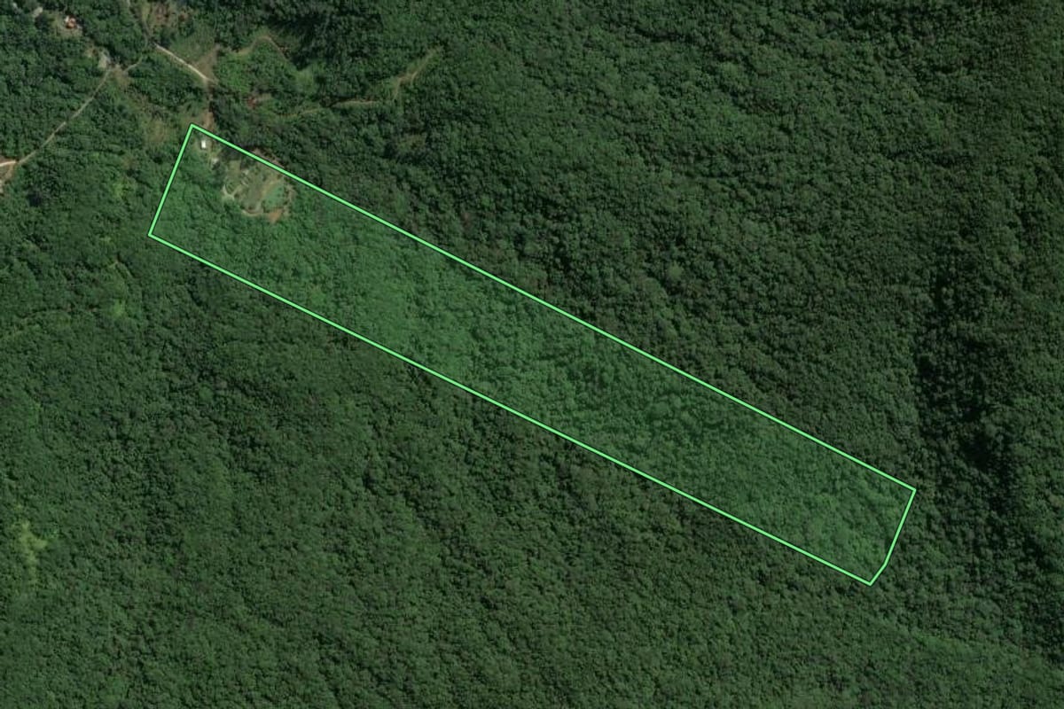 Imagem de satélite do imóvel rural em Camboriú (SC), com o contorno declarado no CAR desenhado por cima.