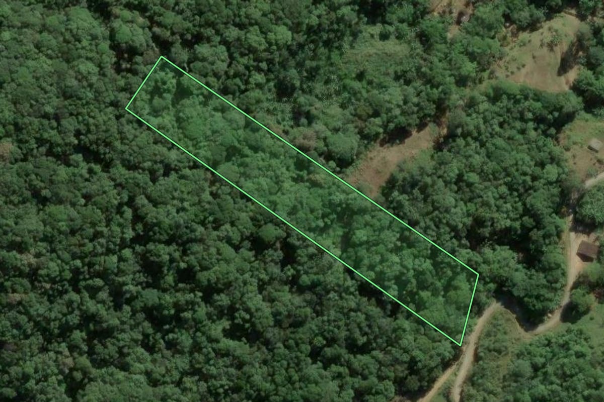 Imagem de satélite do imóvel rural em Camboriú (SC), com o contorno declarado no CAR desenhado por cima.