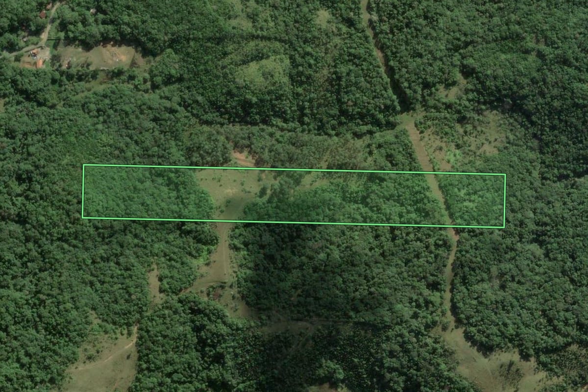 Imagem de satélite do imóvel rural em Camboriú (SC), com o contorno declarado no CAR desenhado por cima.