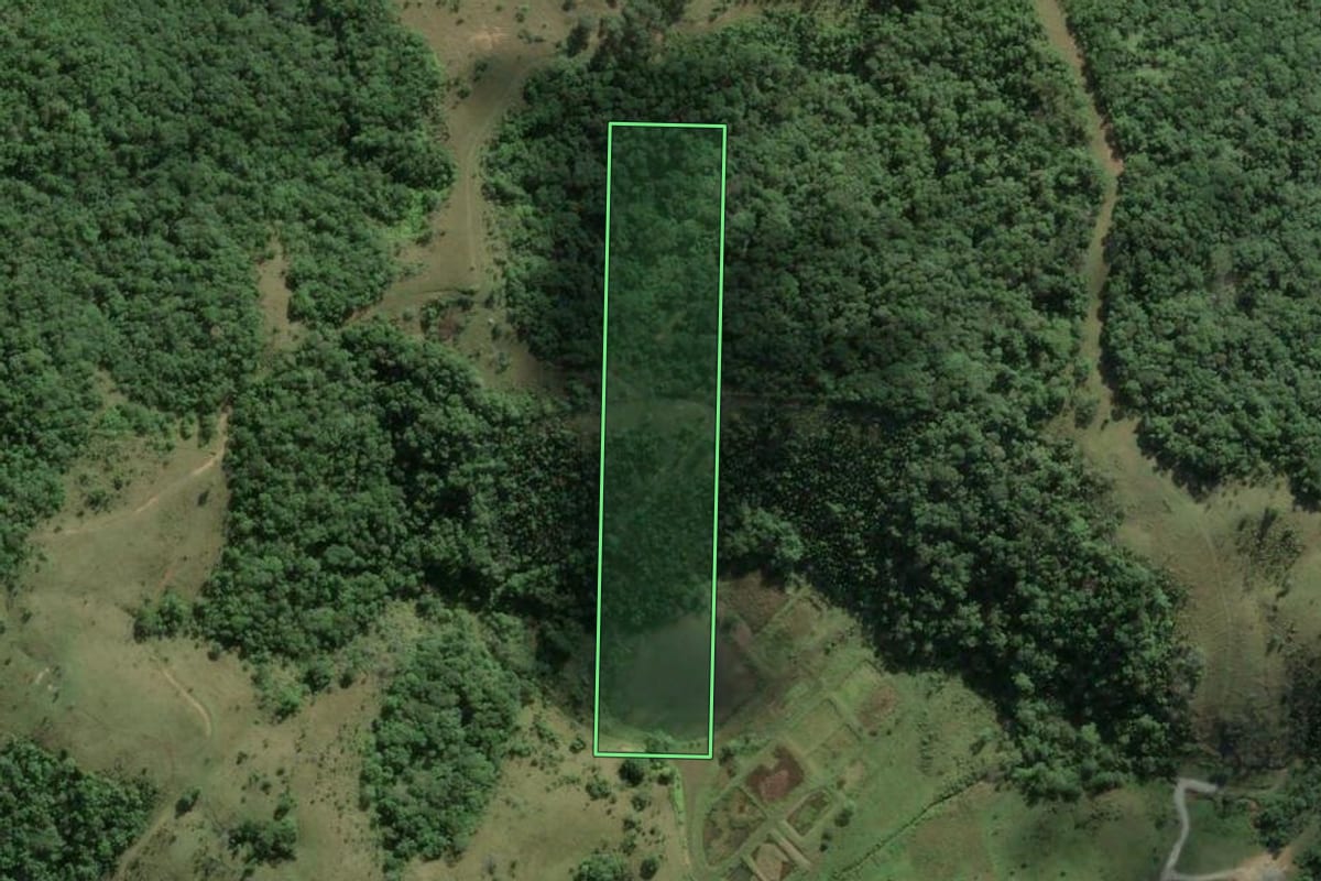 Imagem de satélite do imóvel rural em Camboriú (SC), com o contorno declarado no CAR desenhado por cima.