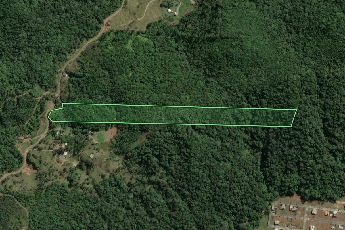 Imagem de satélite do imóvel rural em Camboriú (SC), com o contorno declarado no CAR desenhado por cima.