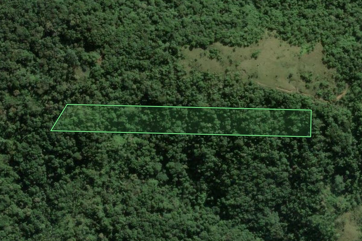 Imagem de satélite do imóvel rural em Camboriú (SC), com o contorno declarado no CAR desenhado por cima.